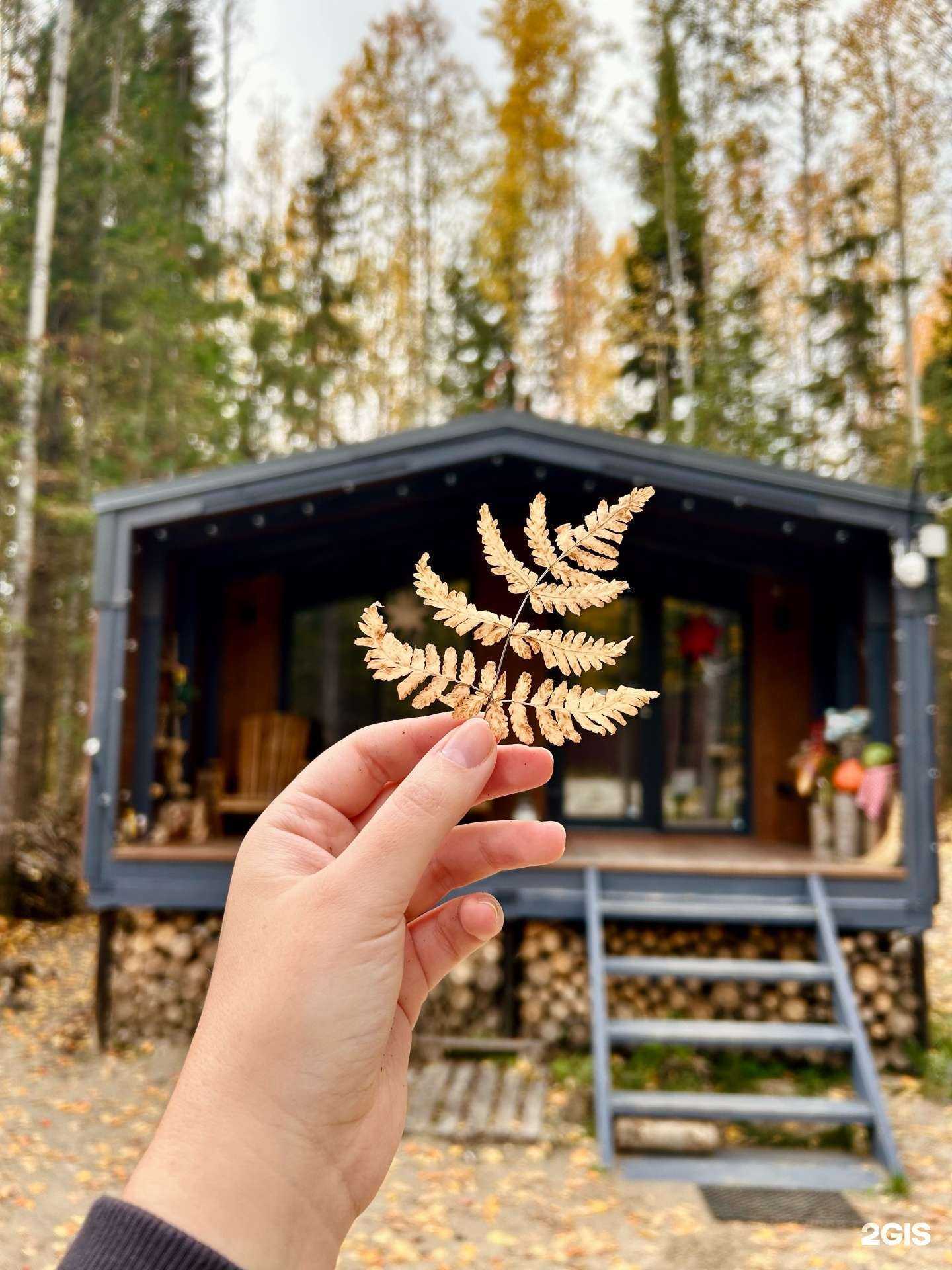 Отзывы на компанию Мама, я на даче в г. Ханты-Мансийск c фото