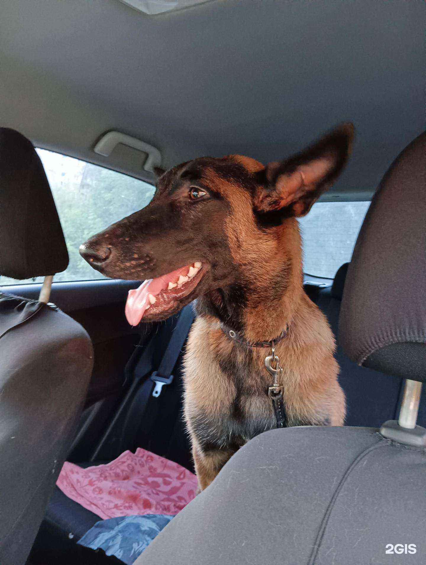 Отзывы на компанию Панацея в г. Копейск c фото