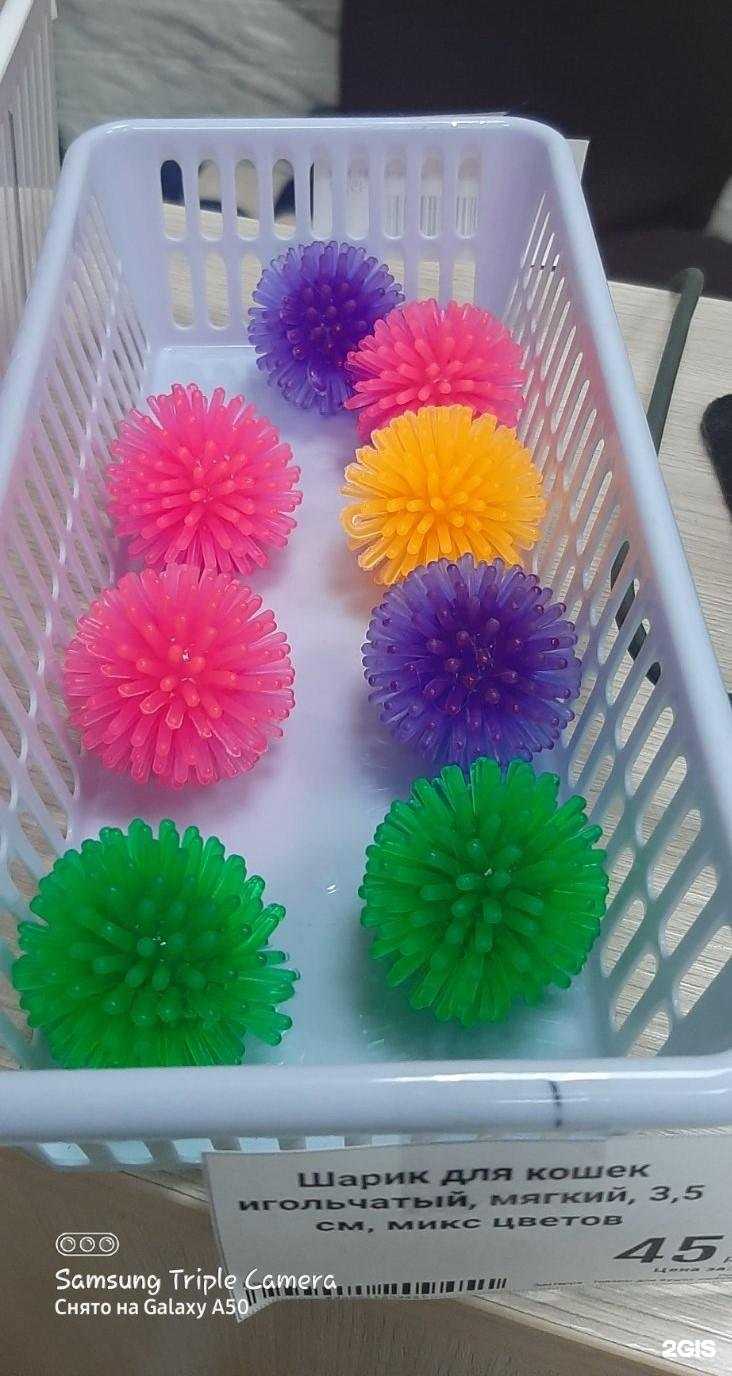 Отзывы на компанию ЗооТерра в г. Чита c фото