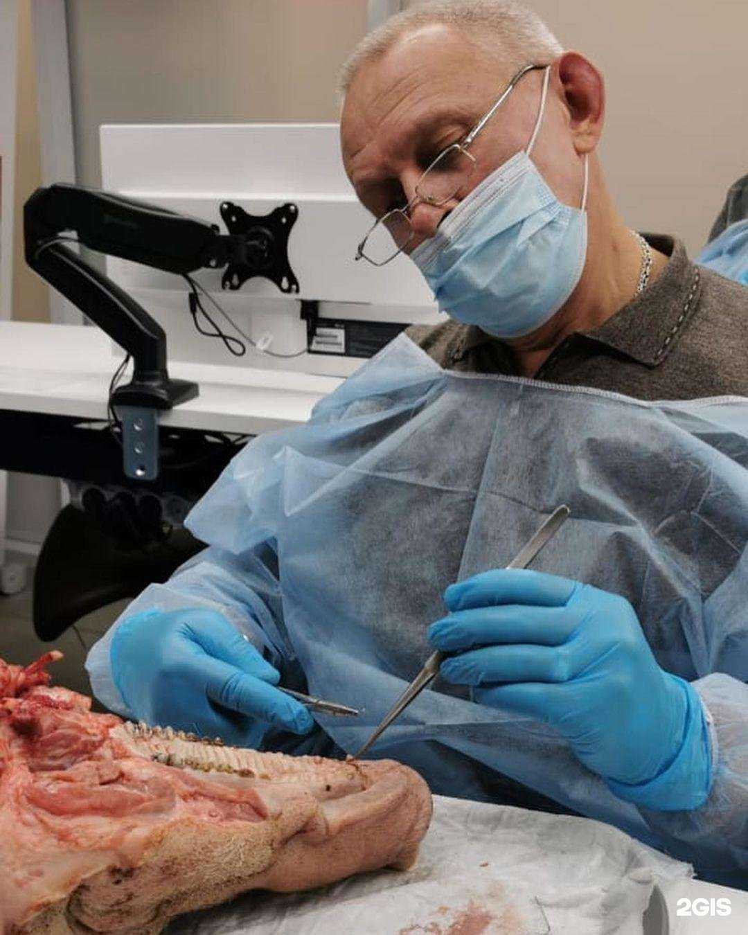 Отзывы на компанию Дельфин в г. Тарко-Сале c фото