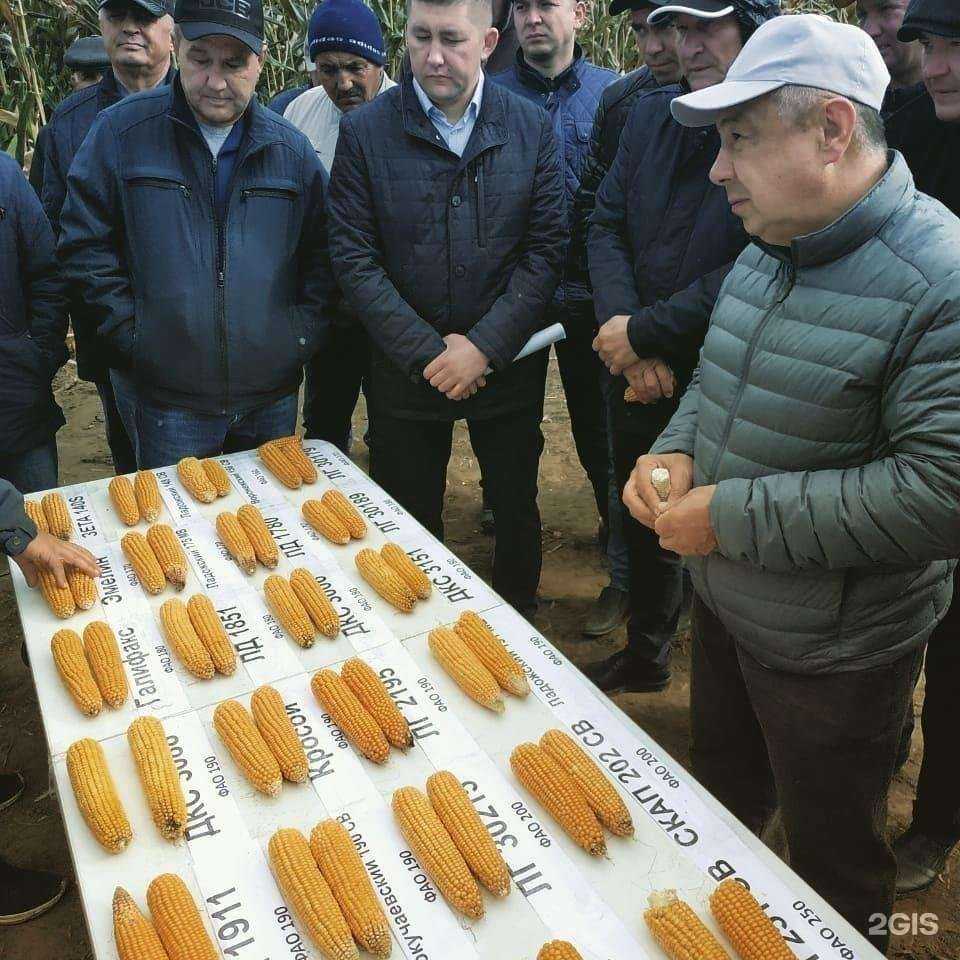 Отзывы на компанию Татсельхозхимкомплект в г. Казань c фото