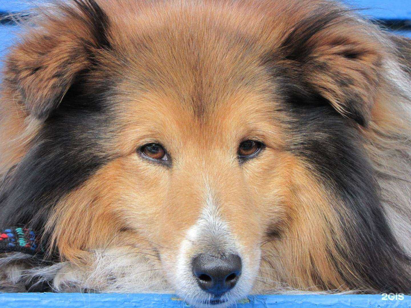 Отзывы на компанию Оружейный град в г. Ижевск c фото