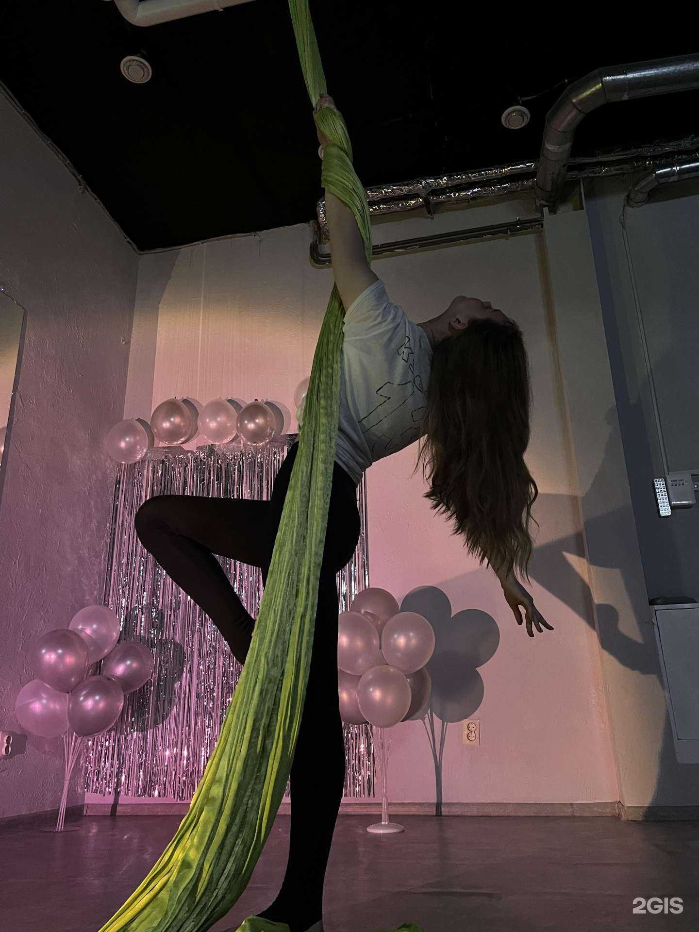 Отзывы на компанию Exotic aerial в Омске c фото