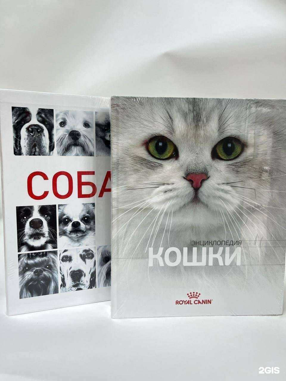 Отзывы на компанию Мордастик в Краснодаре c фото