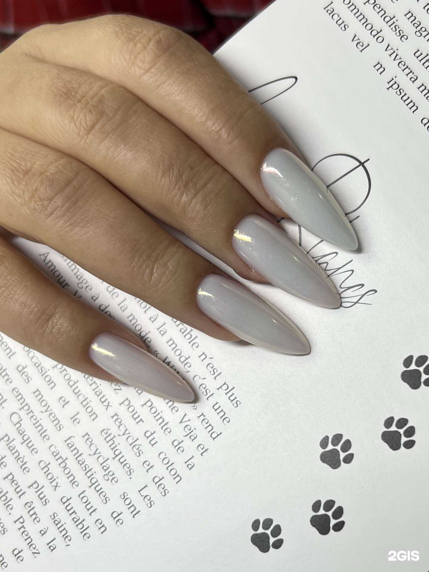 Отзывы на компанию TF studio в Краснодаре c фото