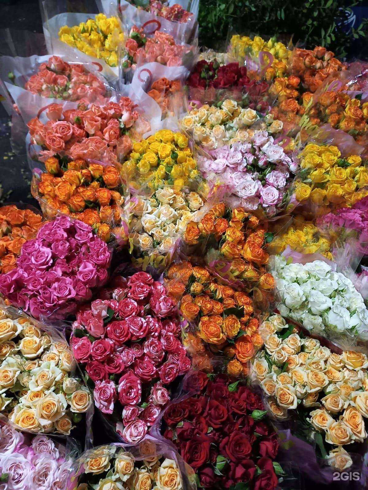 Отзывы на компанию Оазис цветов в г. Нижневартовск c фото