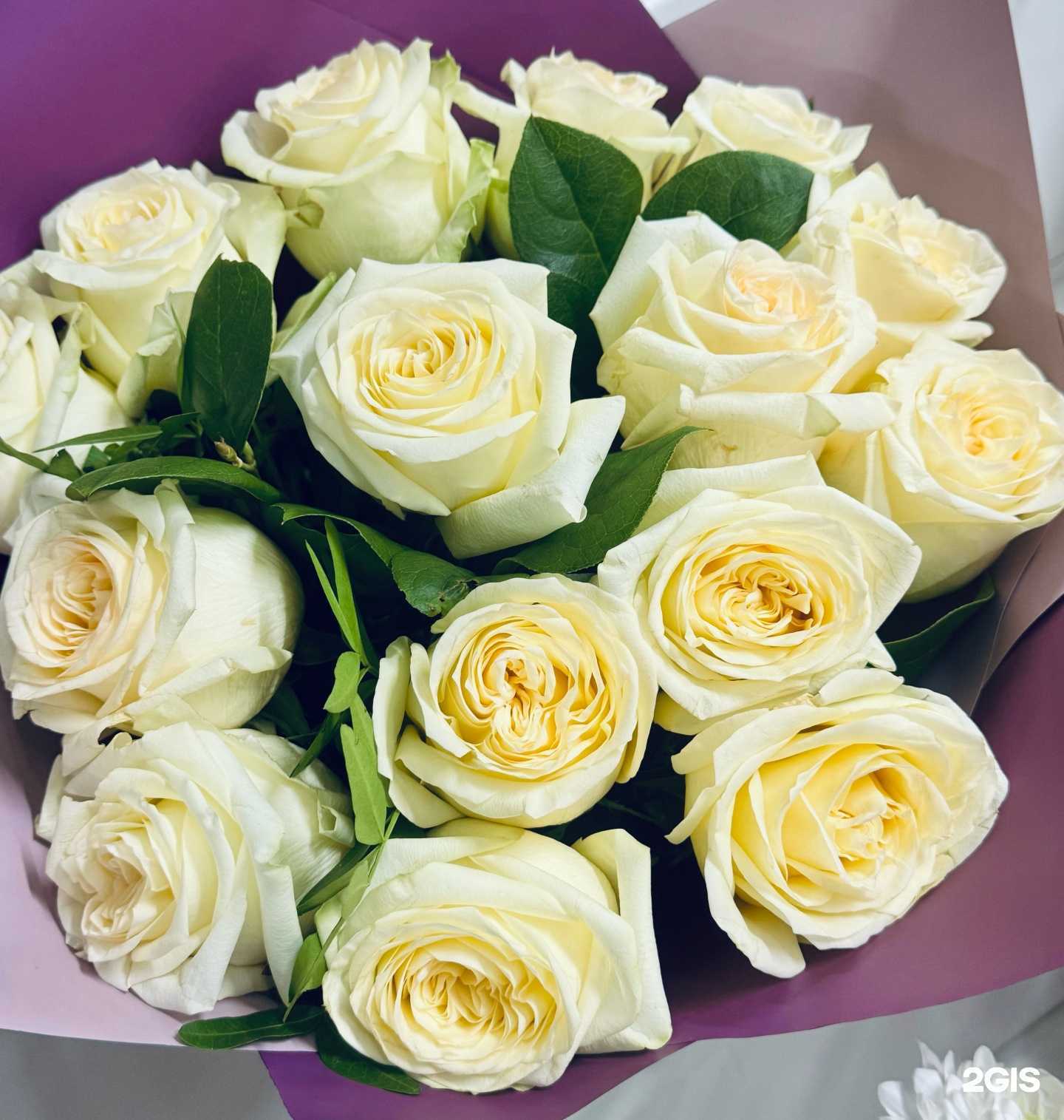 Отзывы на компанию EuroFlor в г. Тюмень c фото