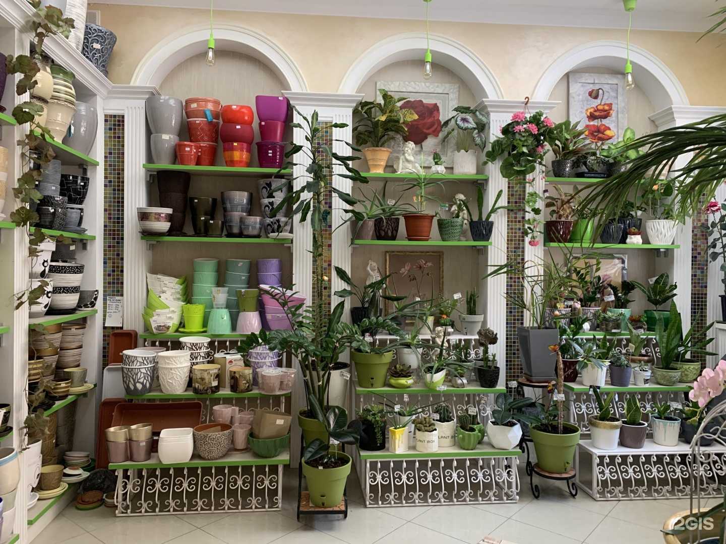 Отзывы на компанию Флора стиль в Оренбурге c фото