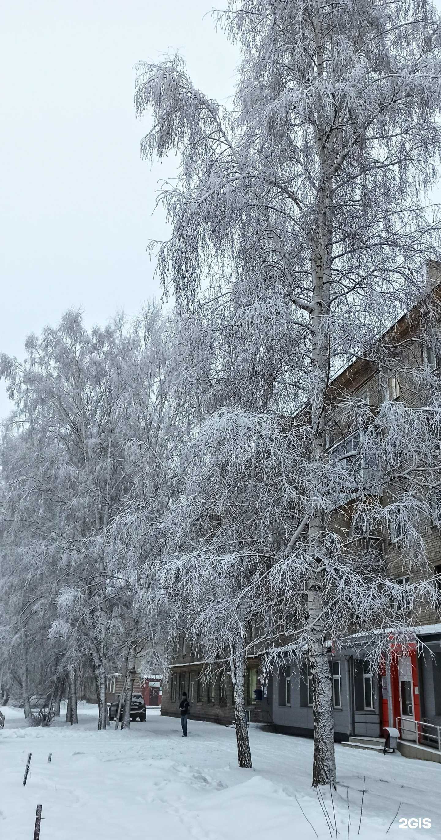 Отзывы на компанию Отделение общей врачебной практики в Новосибирске c фото - фотография 2 из 2