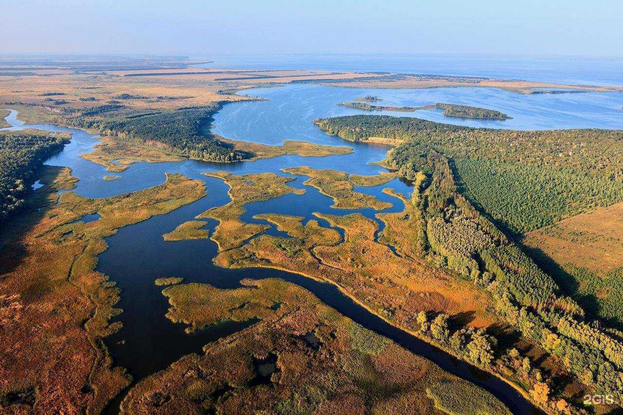 Отзывы на компанию Рекардо в Димитровграде c фото