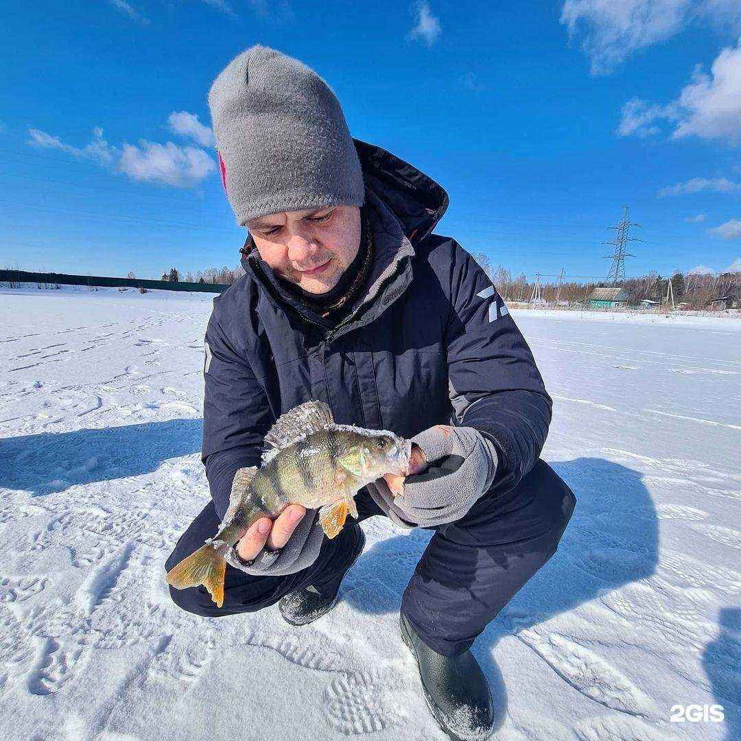Отзывы на компанию Поклёвка в Калуге c фото