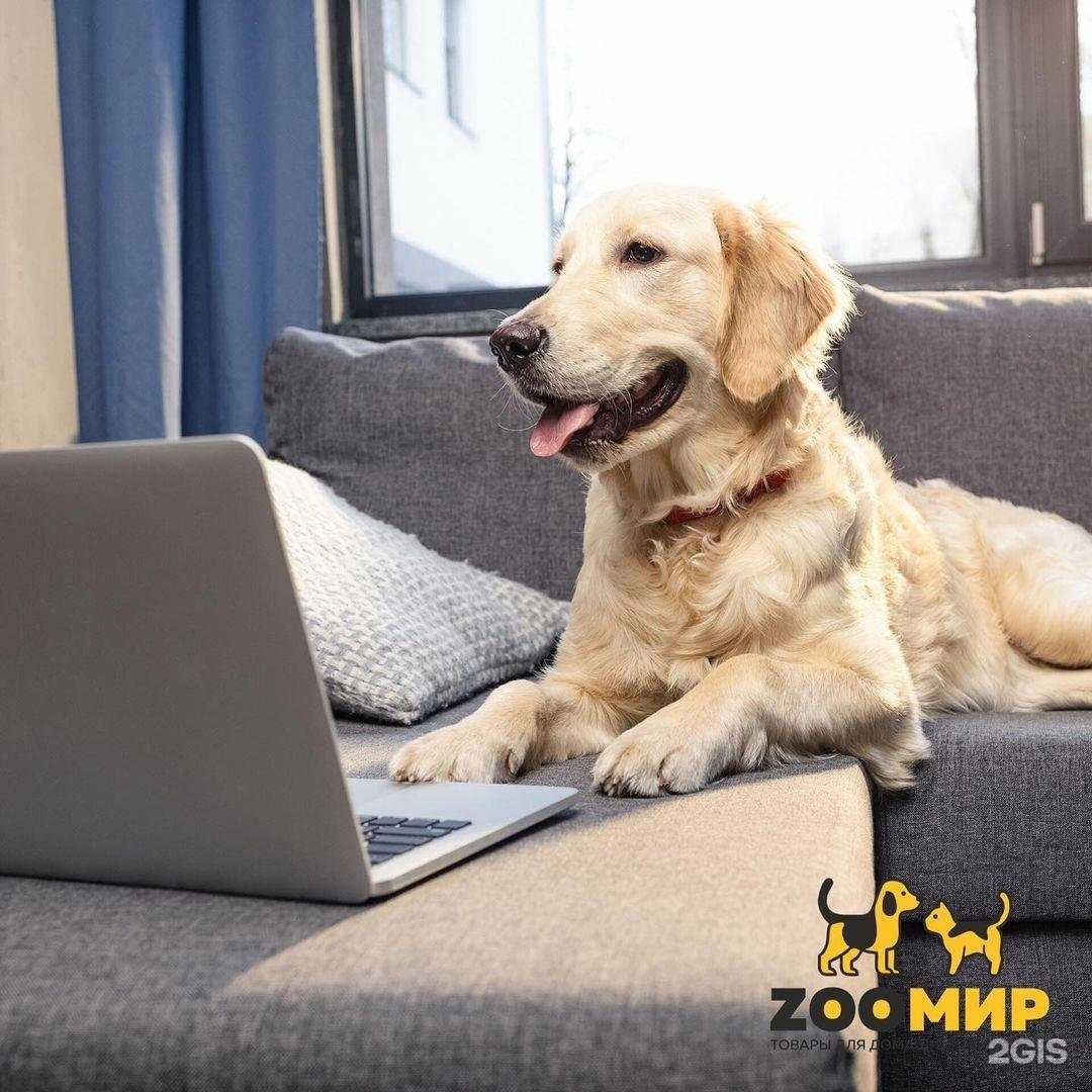 Отзывы на компанию Зоомир в Петропавловске-Камчатском c фото