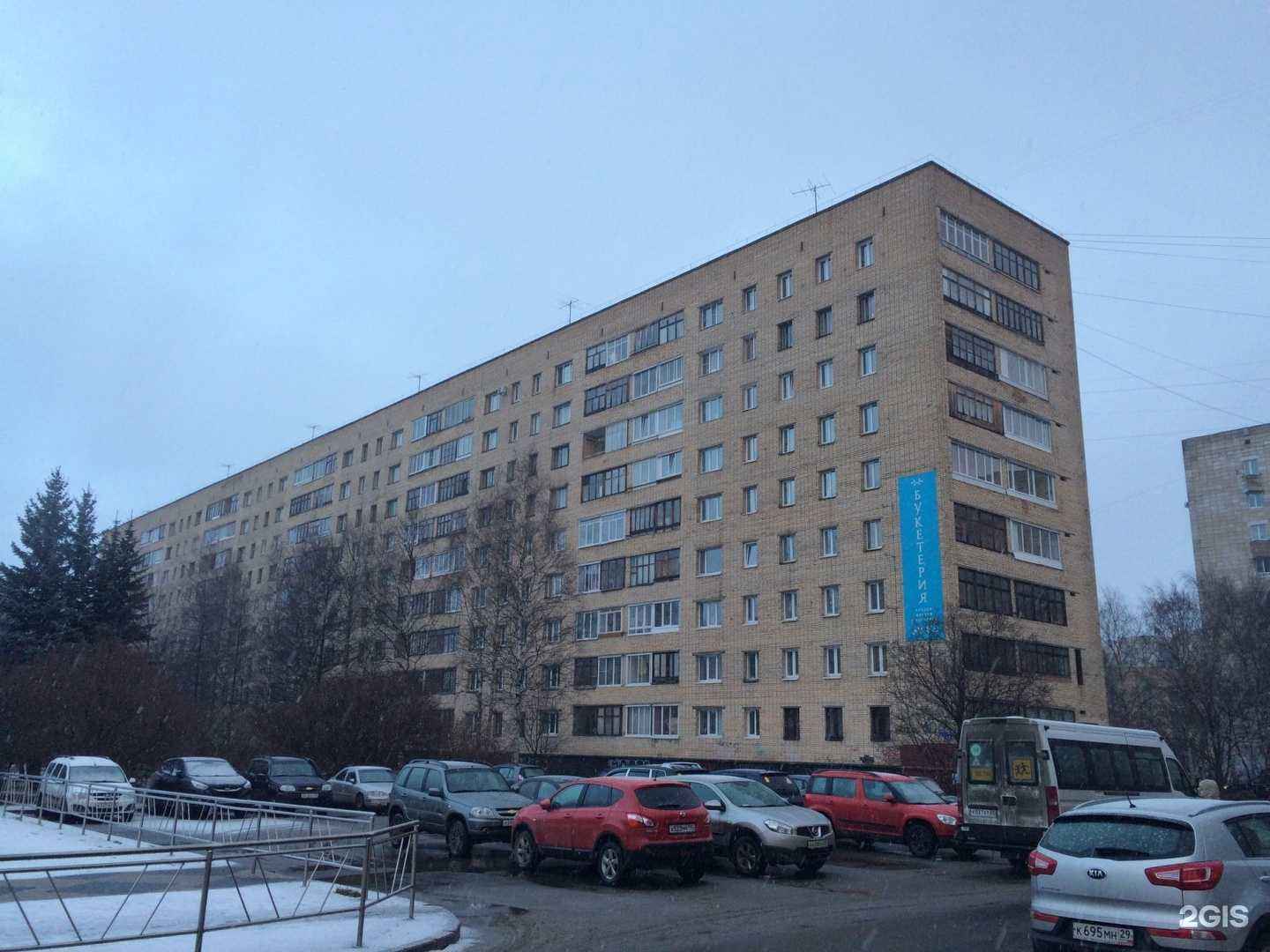 Отзывы на компанию Первый цветочный  в Архангельске c фото - фотография 2 из 2