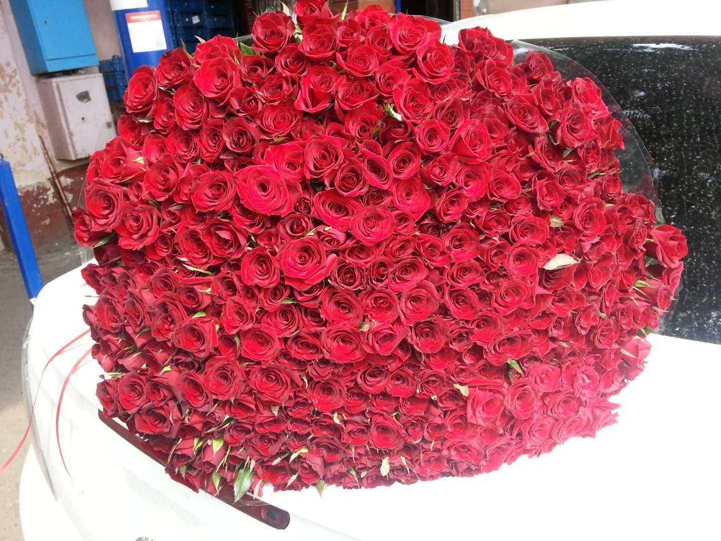 Отзывы на компанию 7 роз в Краснодаре c фото