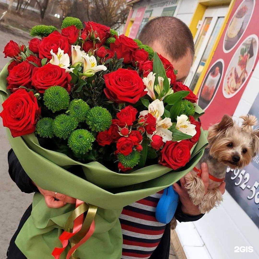 Отзывы на компанию Florida в Новошахтинске c фото