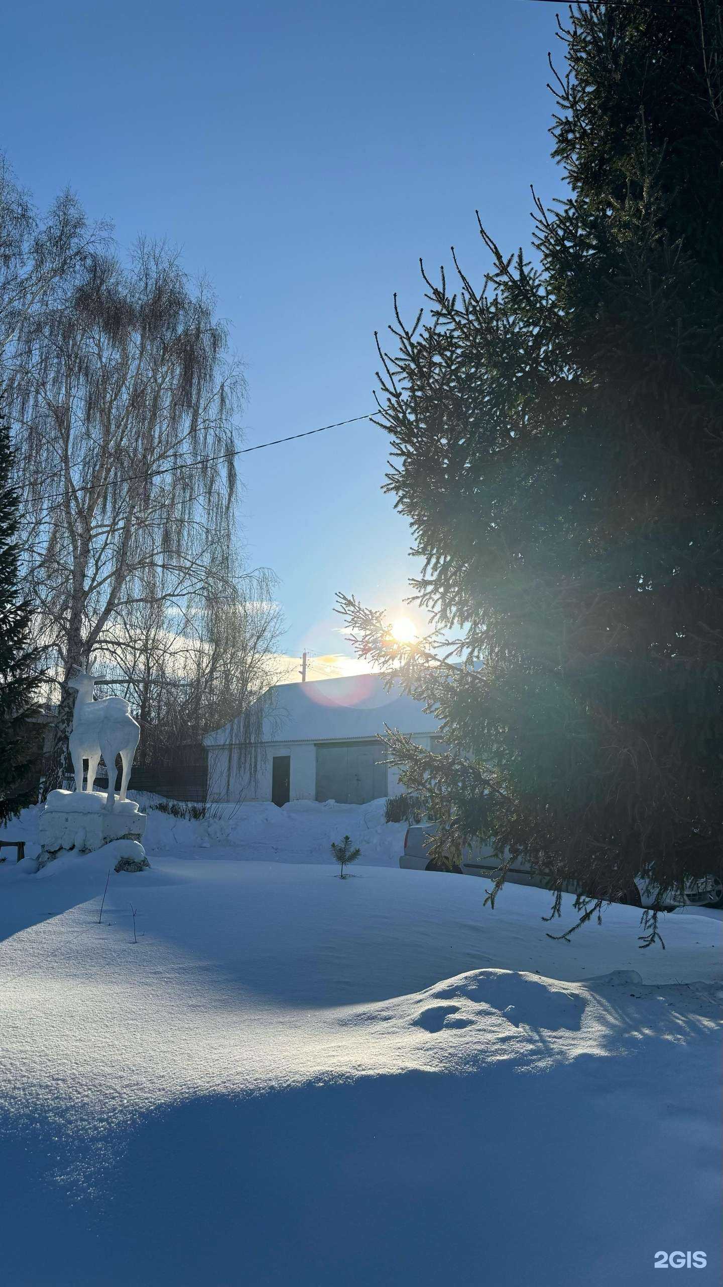 Отзывы на компанию Магнитогорская городская ветеринарная станция по борьбе с болезнями животных в Магнитогорске c фото