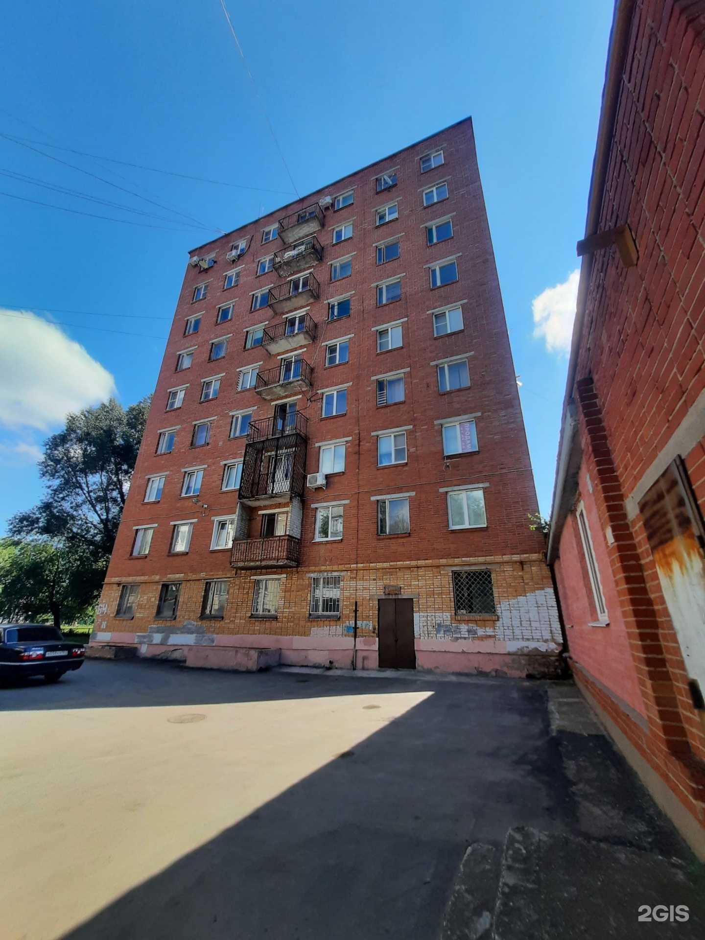 Отзывы на компанию Мягкие лапки в Тольятти c фото - фотография 2 из 2