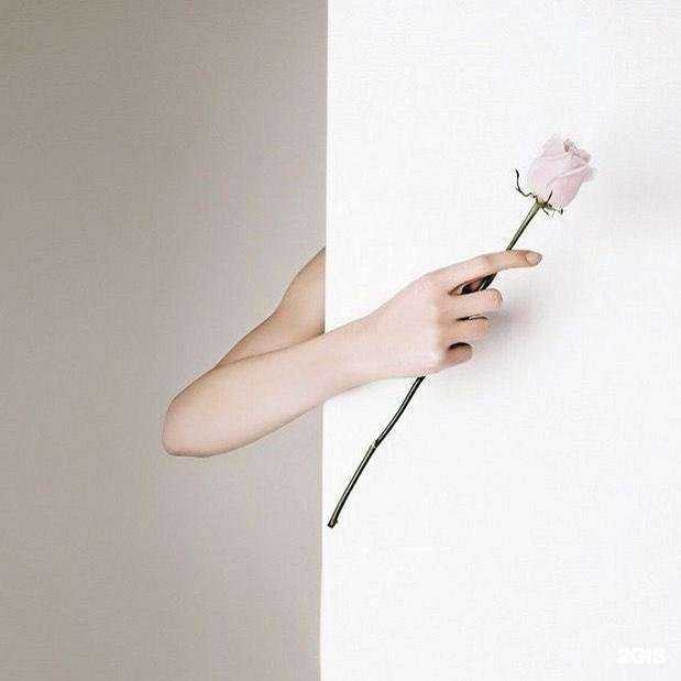 Отзывы на компанию Oksy.alex в Липецке c фото