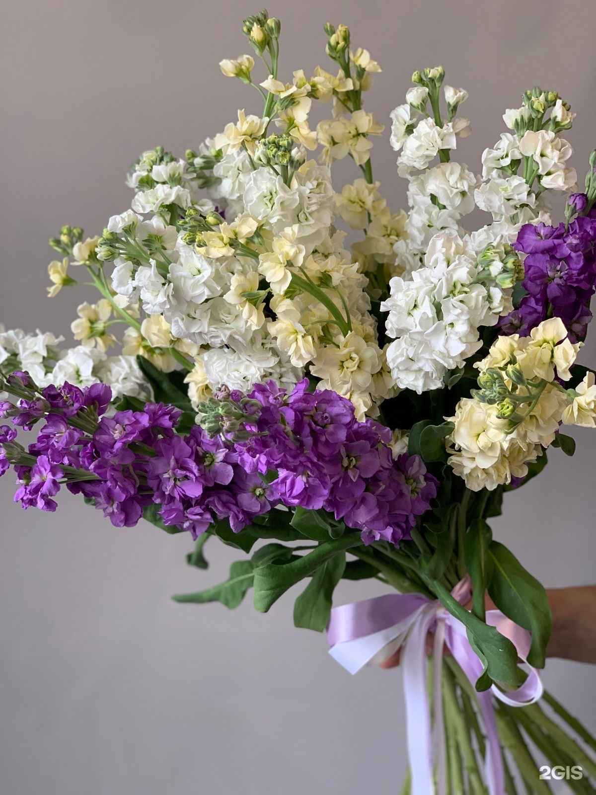 Отзывы на компанию Анна Анабель в Краснодаре c фото