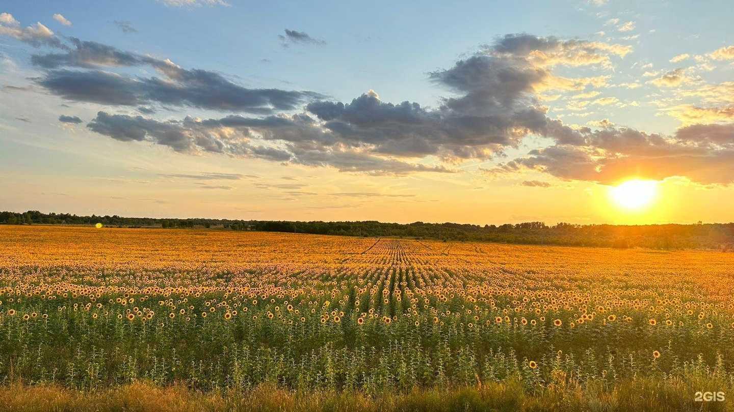 Отзывы на компанию Автомойка в г. Новосибирск c фото