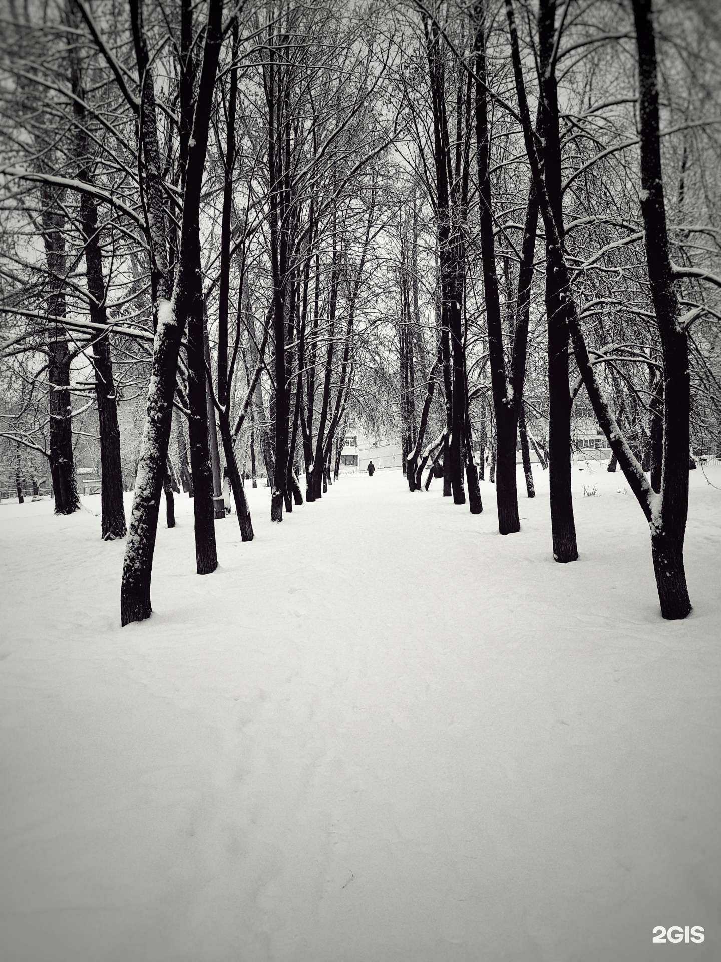 Отзывы на компанию Средняя школа №45 в г. Кемерово c фото