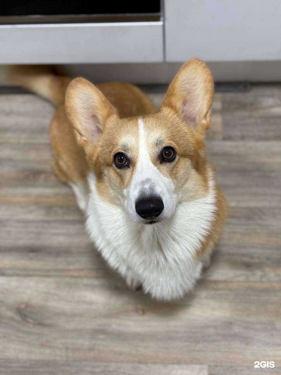 Отзывы на компанию Friends Hotel в Казани c фото