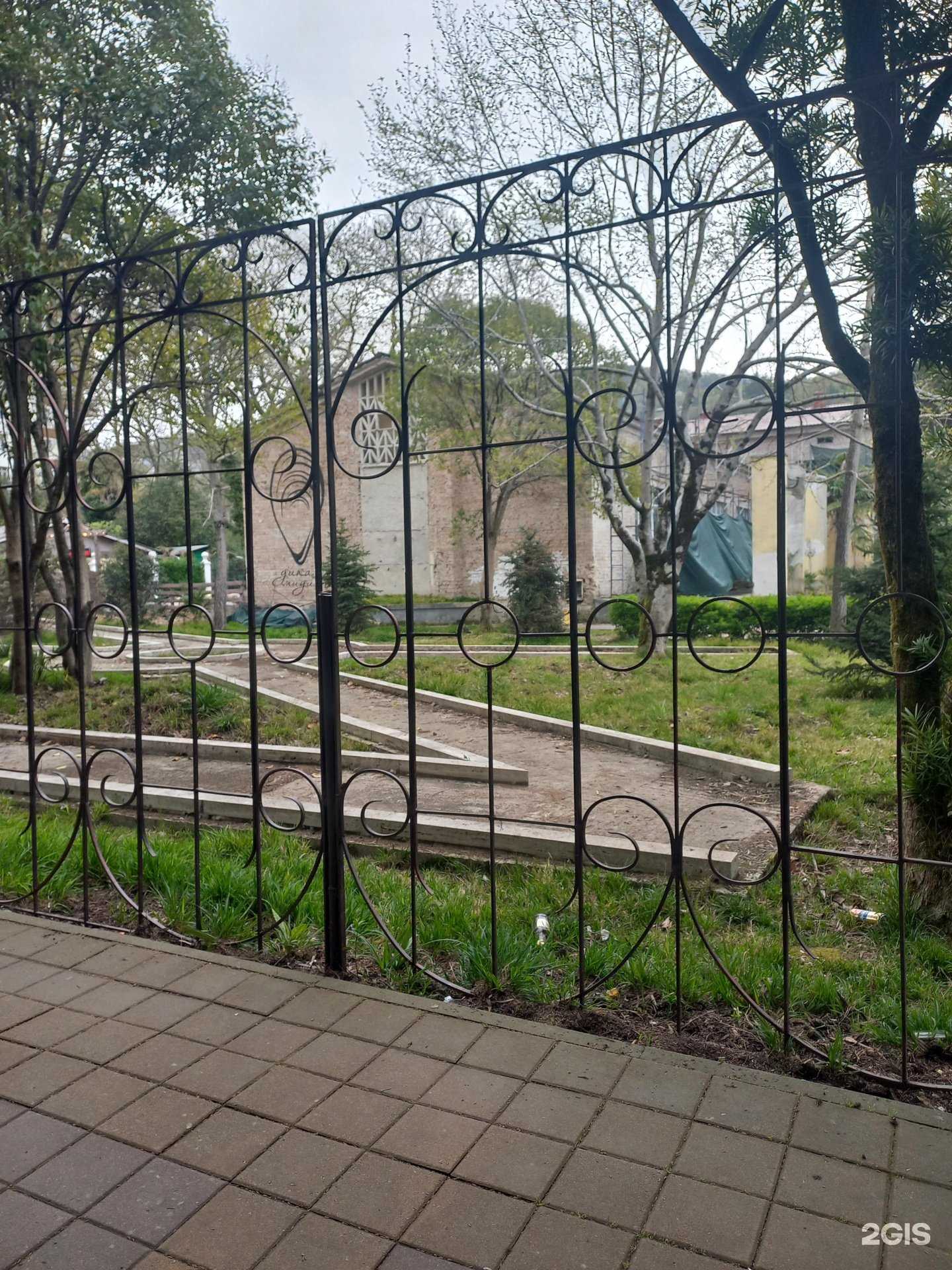 Отзывы на компанию Плавательный клуб в г. Сочи c фото