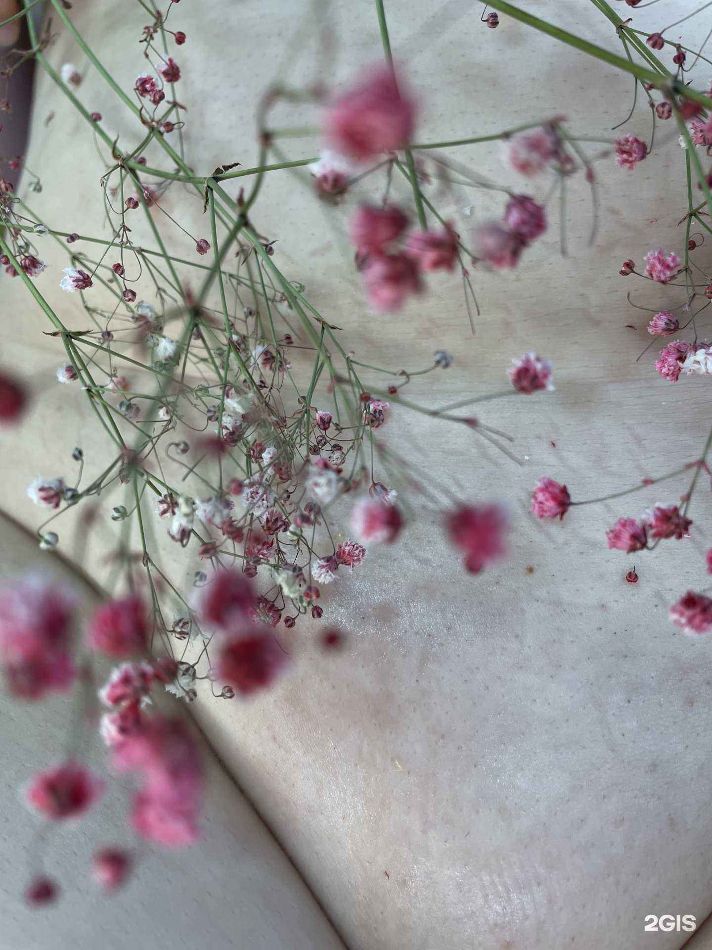 Отзывы на компанию Студия эпиляции в г. Саратов c фото