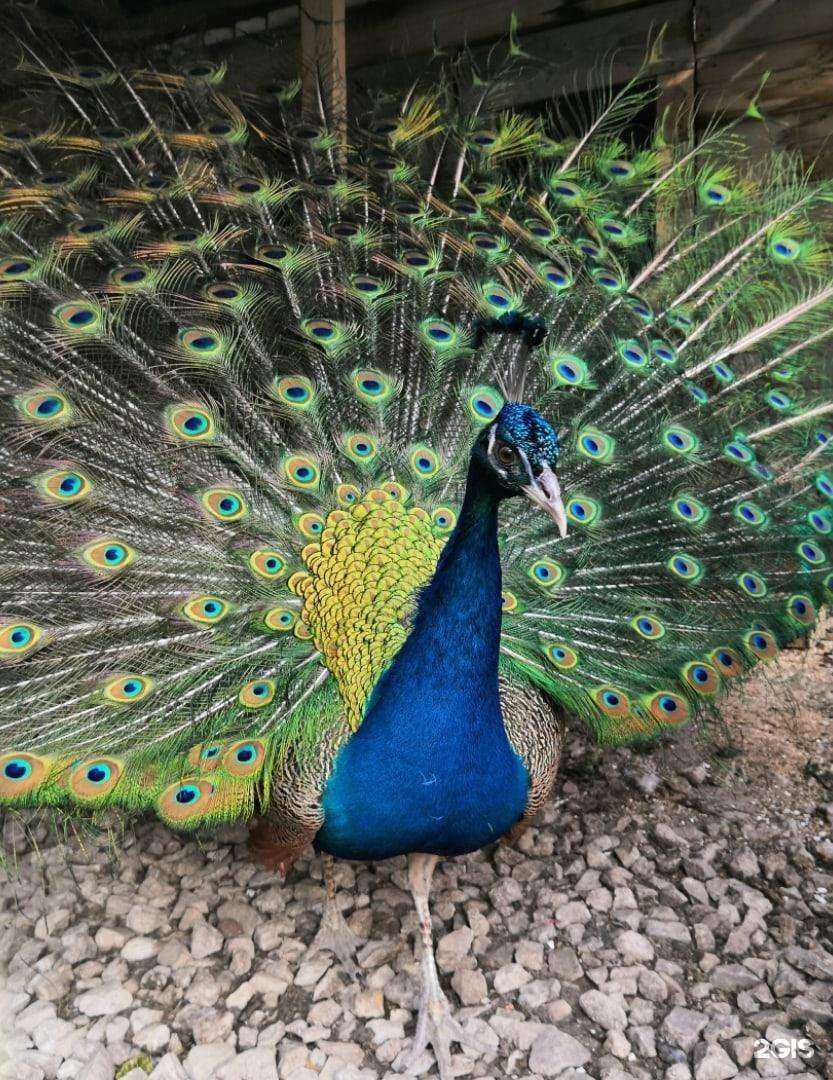 Отзывы на компанию Аргамак в г. Самара c фото