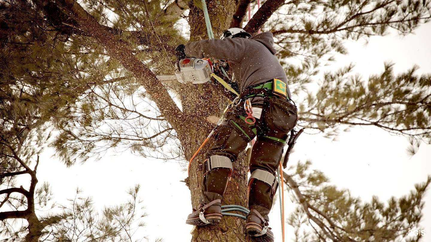 Отзывы на компанию Перфекционист в г. Новосибирск c фото