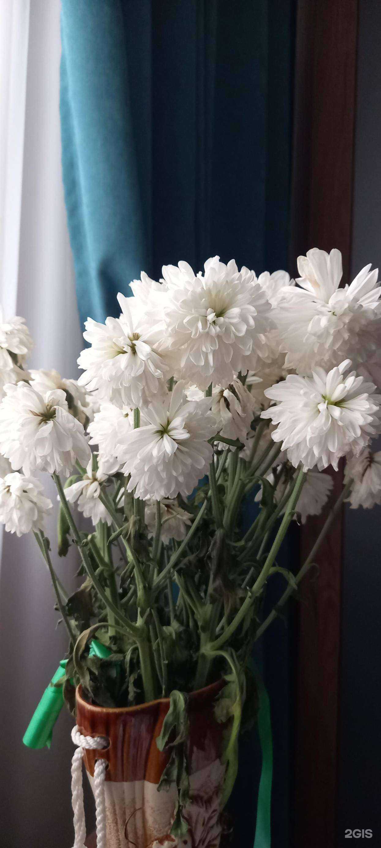 Отзывы на компанию Аксинья в Красноярске c фото