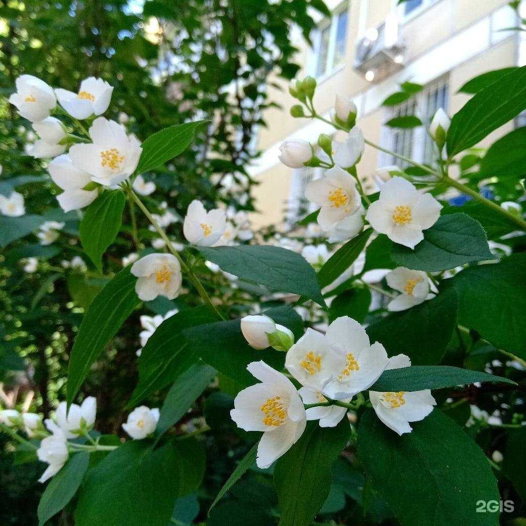 Отзывы на компанию Рюмочная №3 в г. Омск c фото