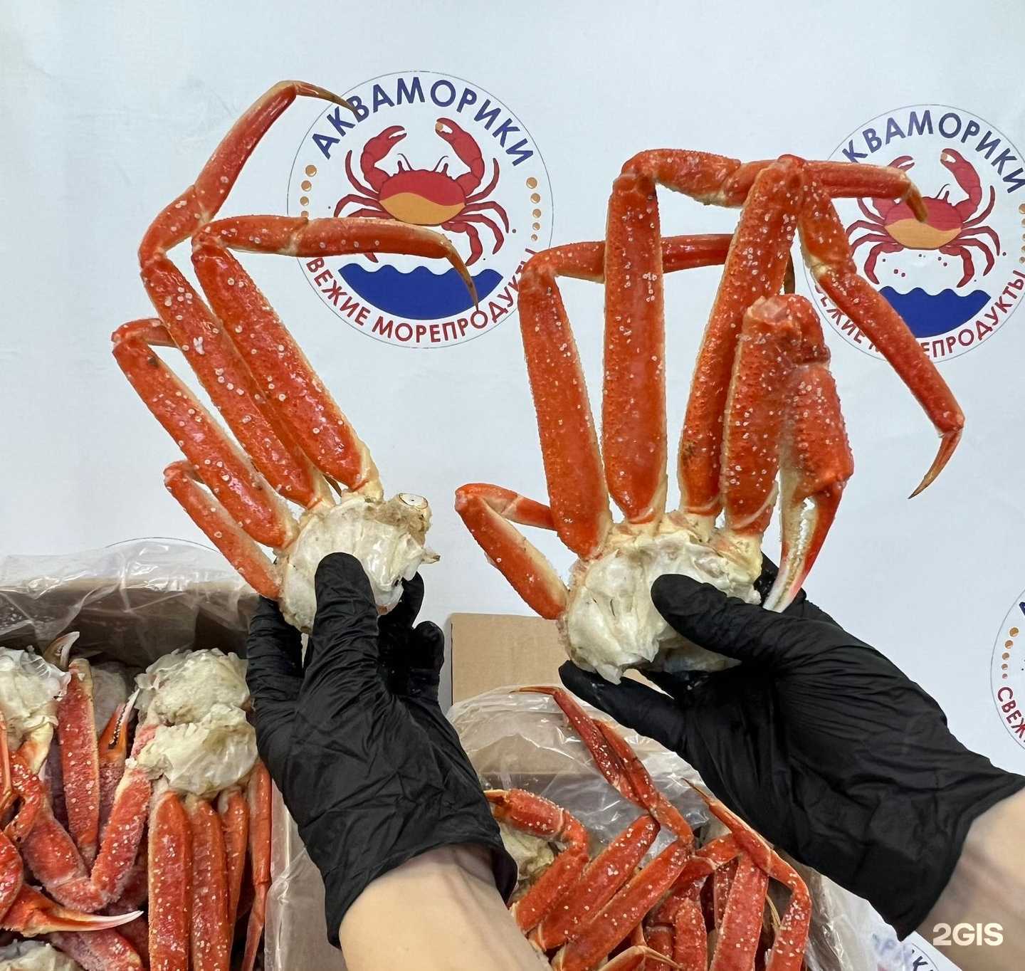 Отзывы на компанию Акваморики  в Краснодаре c фото