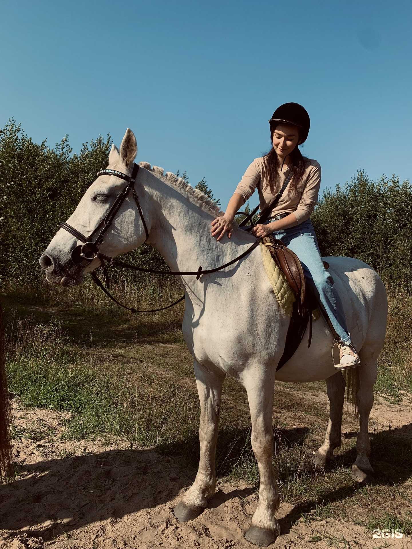 Отзывы на компанию Каприоль в г. Архангельск c фото