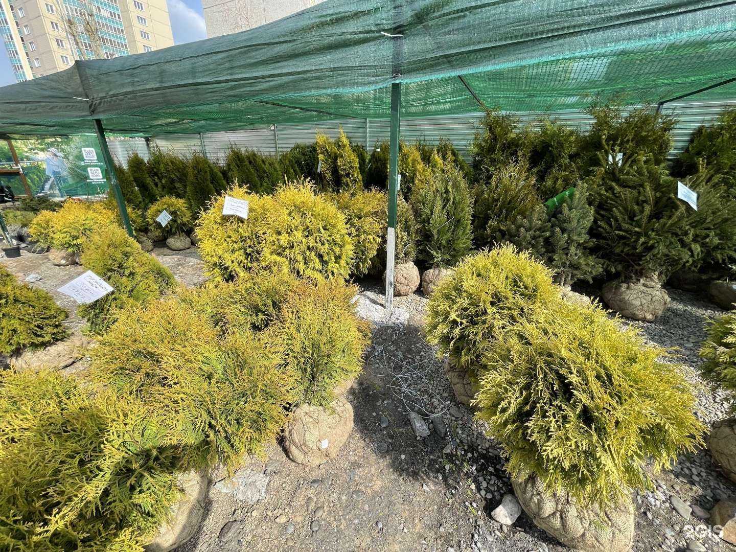 Отзывы на компанию Фавн в г. Красноярск c фото