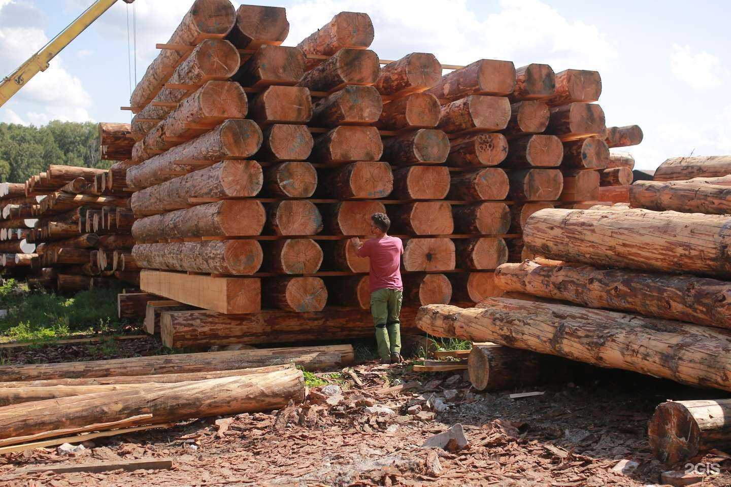 Отзывы на компанию Сибирь Лесопродукт в Новосибирске c фото