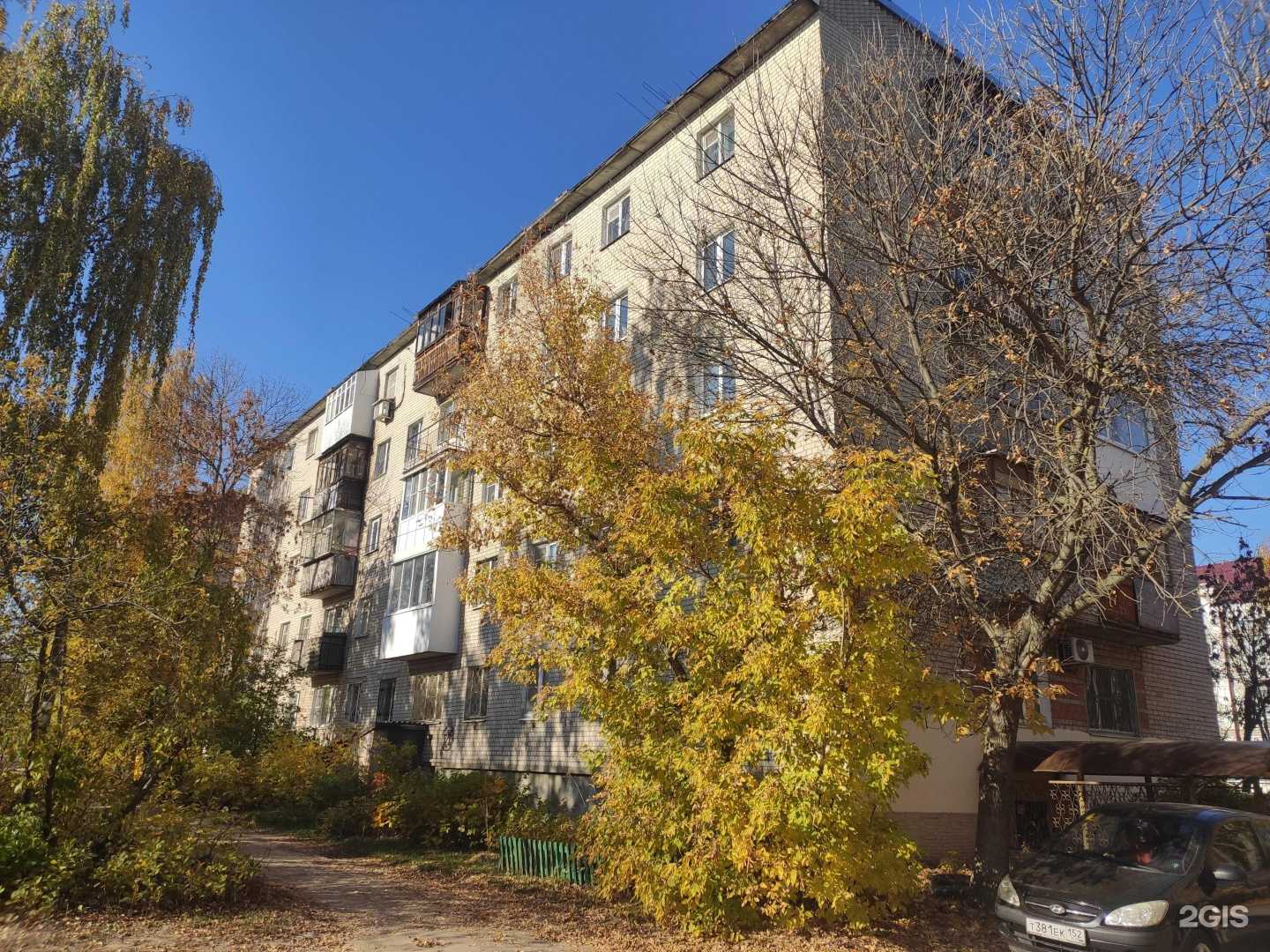 Отзывы на компанию Tigers club в Дзержинске c фото - фотография 2 из 2