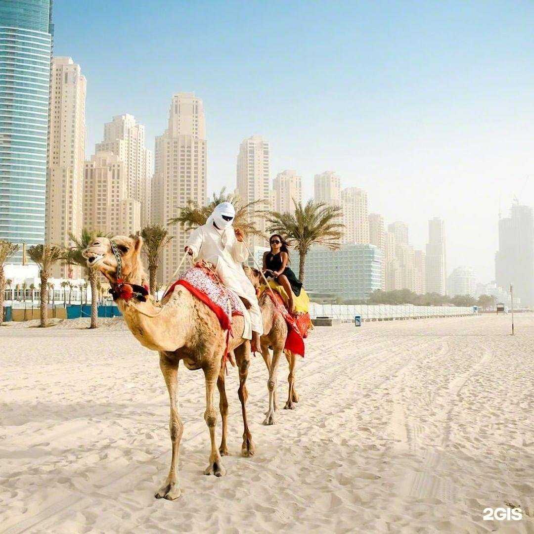 Отзывы на компанию Волга в Чебоксарах c фото