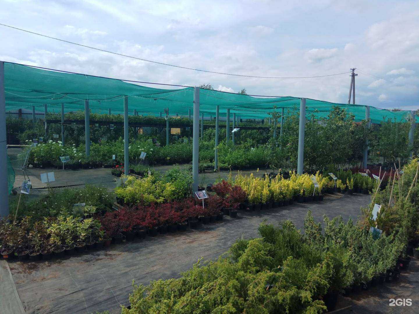 Отзывы на компанию Анемон в г. Саратов c фото