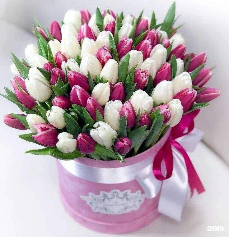 Отзывы на компанию Яблоко в Ижевске c фото