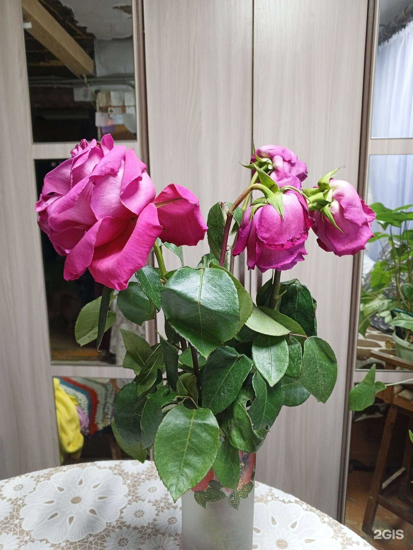 Отзывы на компанию Anna в Новосибирске c фото