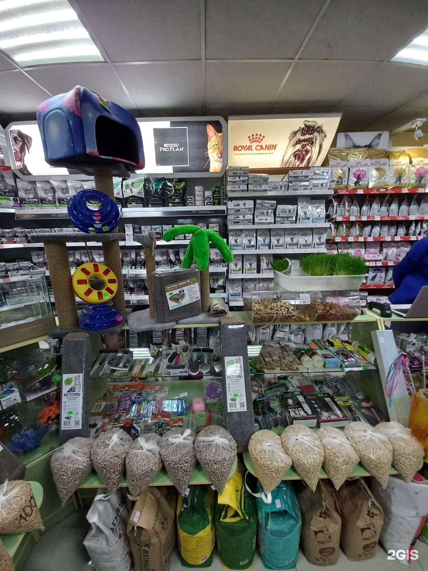 Отзывы на компанию Зоомагазин в Краснодаре c фото