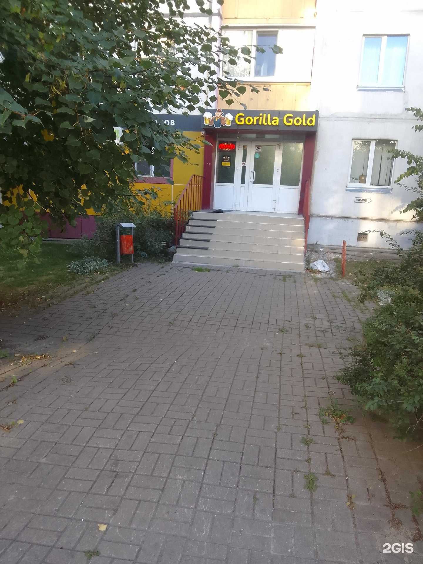 Отзывы на компанию Gorilla Gold в Белгороде c фото