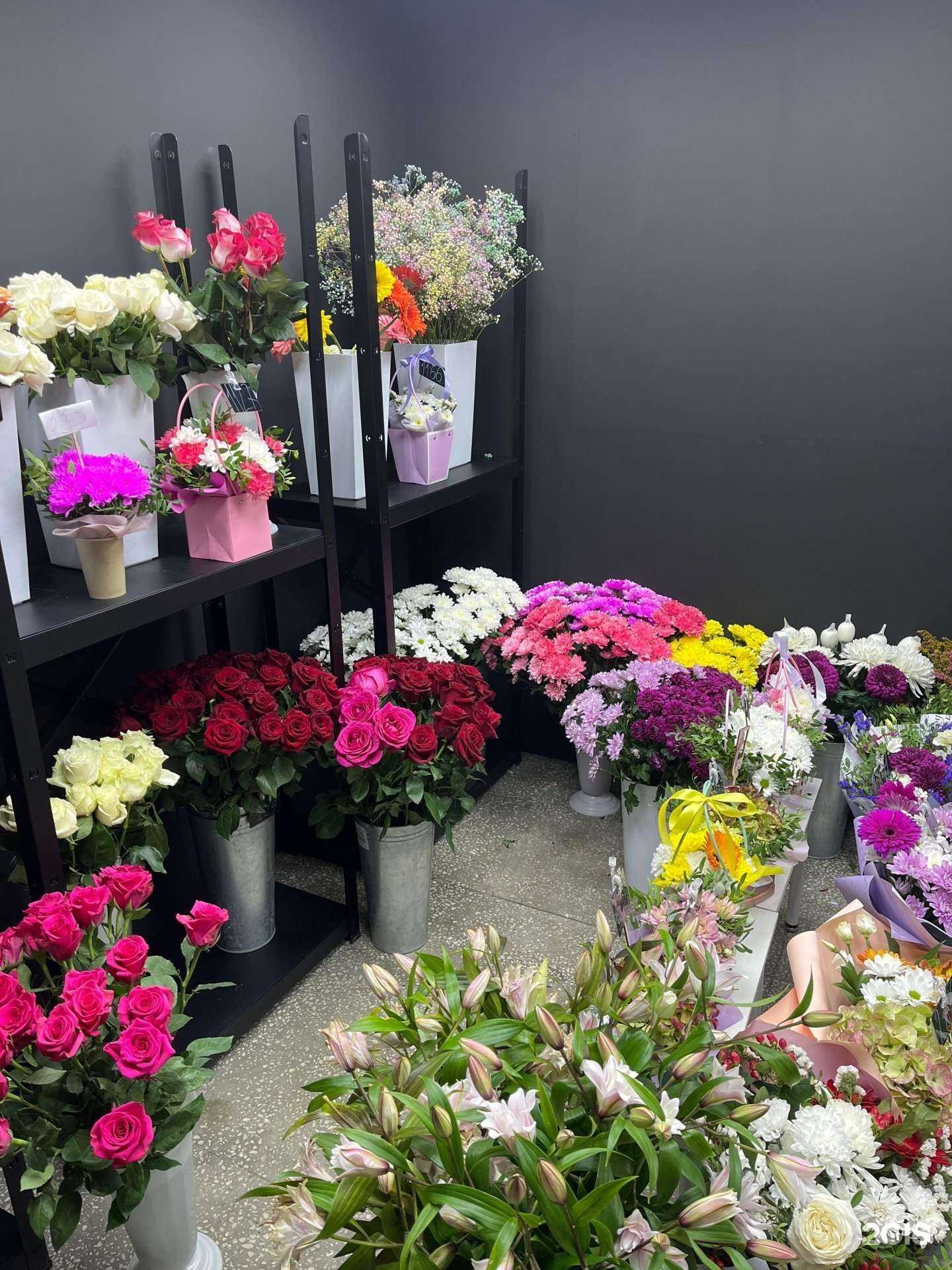 Отзывы на компанию Клумба в Омске c фото