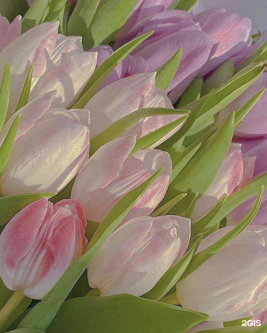 Отзывы на компанию Баснинские Бани в г. Иркутск c фото