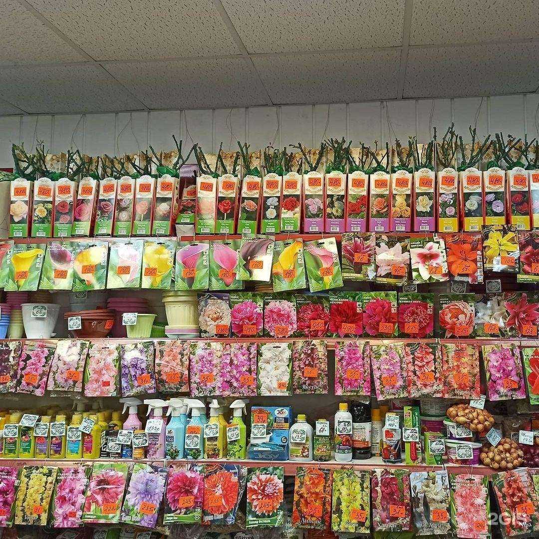 Отзывы на компанию Садовод в г. Саратов c фото