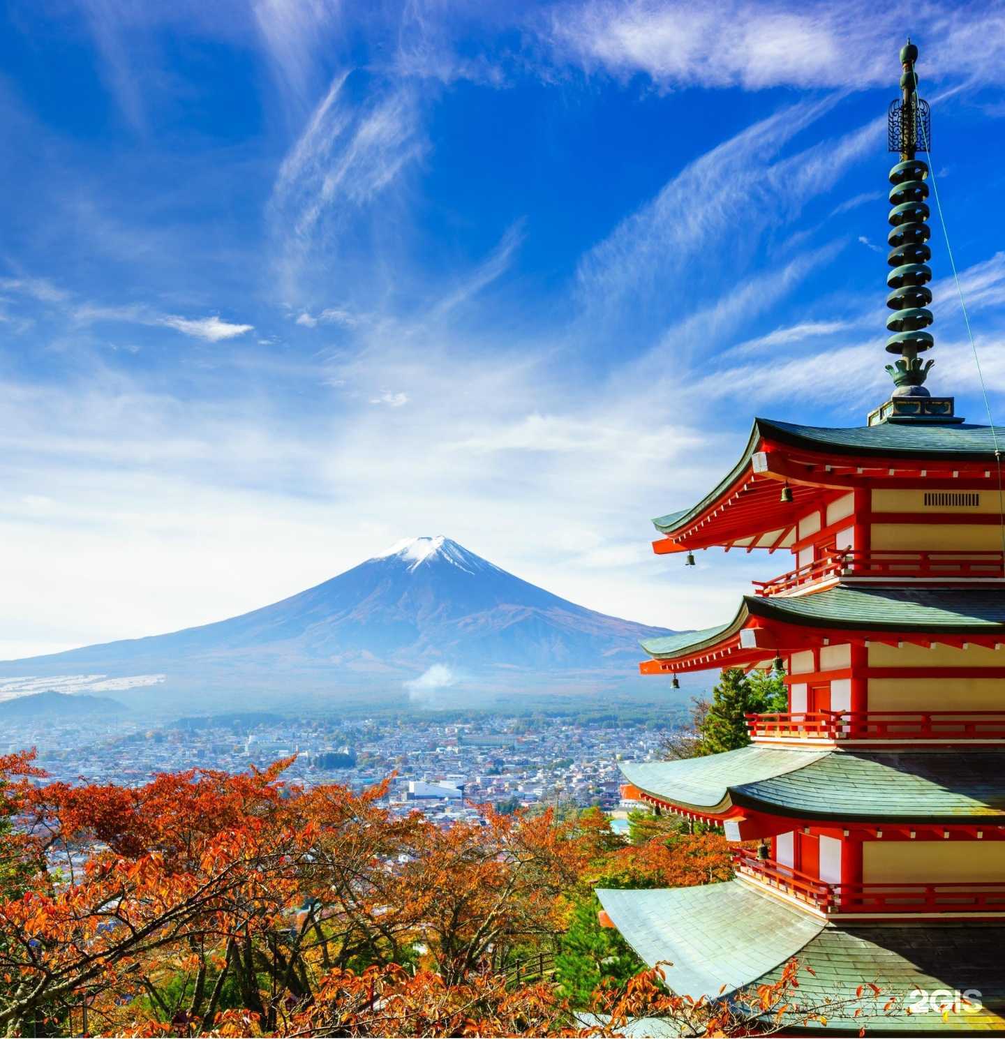 Отзывы на компанию Асгард в Красногорске c фото