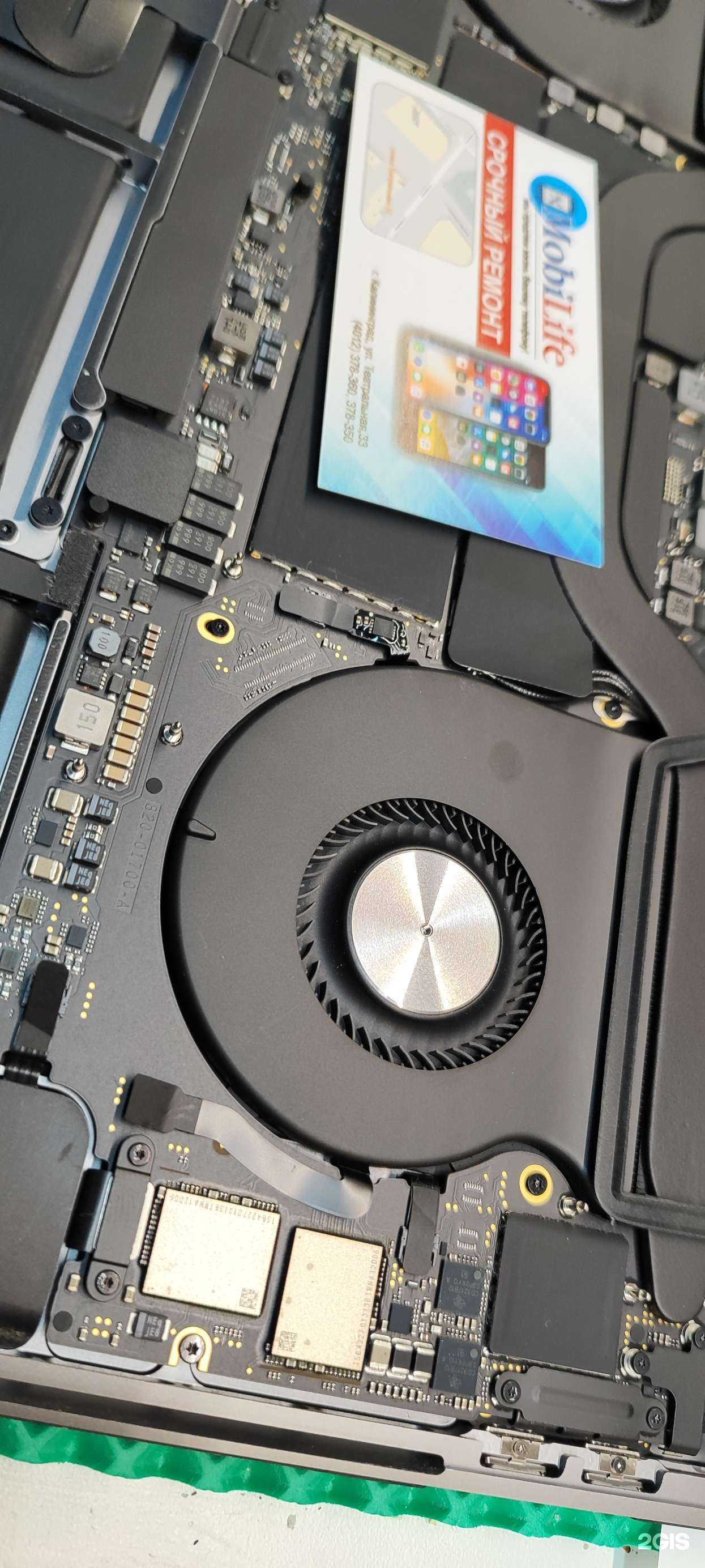 Отзывы на компанию MobiLife в Калининграде c фото