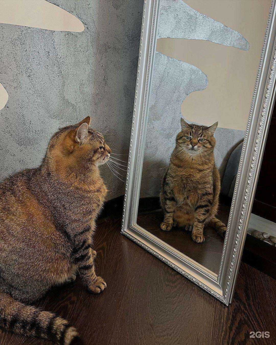 Отзывы на компанию Hulk Gym в Махачкале c фото