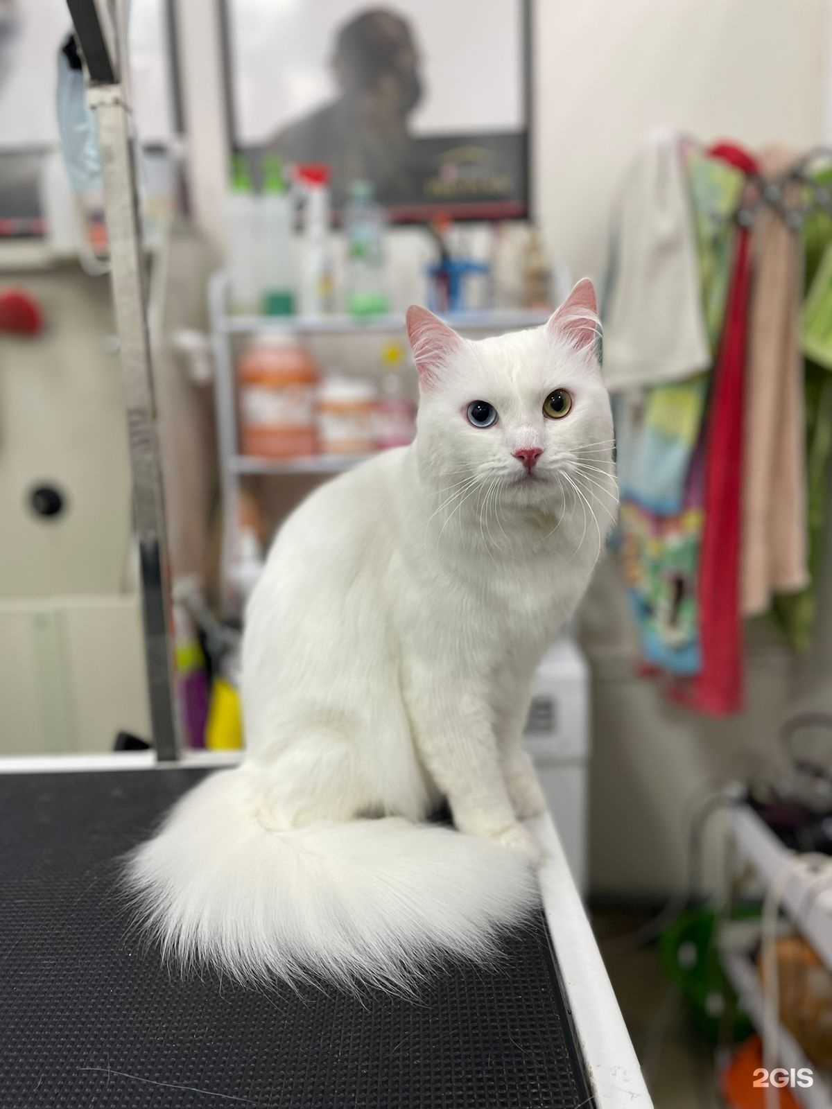 Отзывы на компанию Черника в г. Таганрог c фото